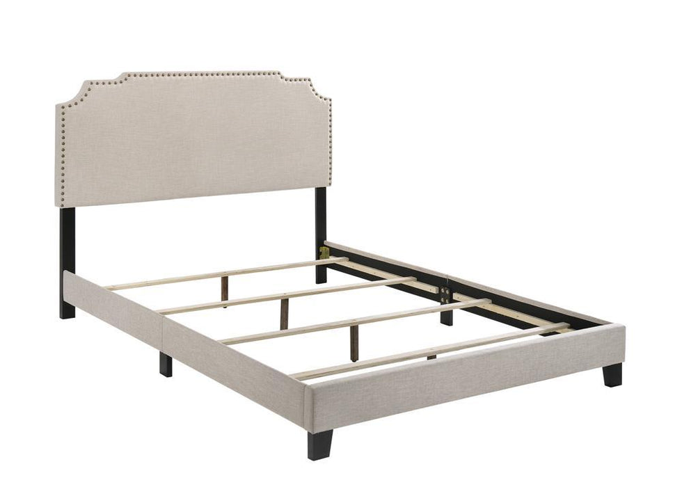 Tamarac Upholstered Nailhead Full, Eastern King & Queen Bed Beige & Grey
