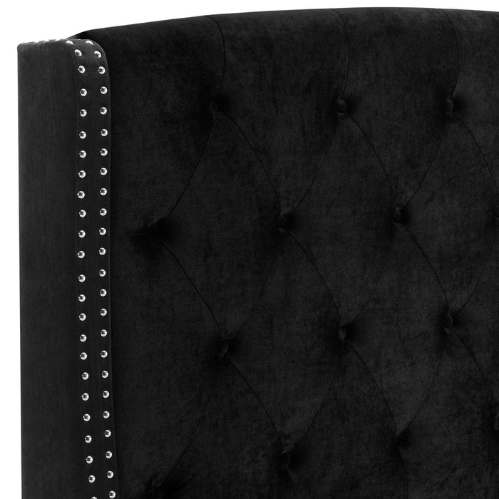 Eva Dove Black Queen Upholstered Bed