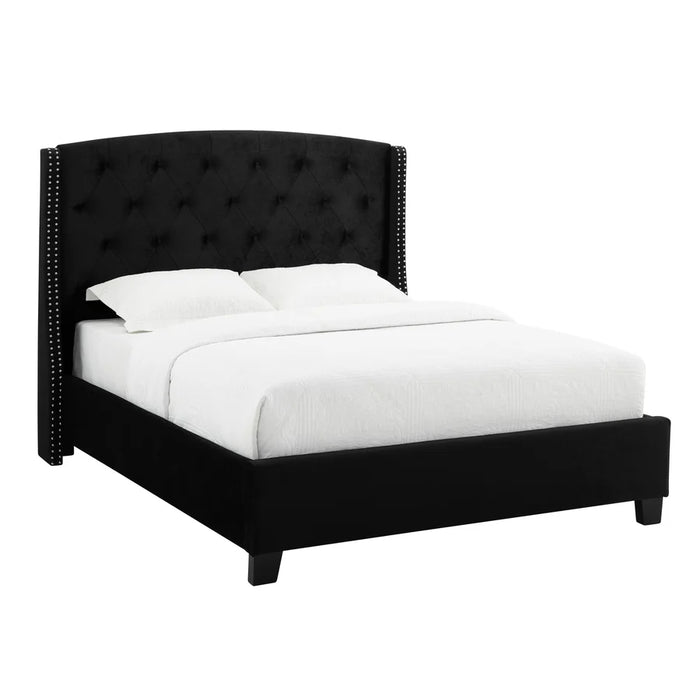 Eva Dove Black Queen Upholstered Bed