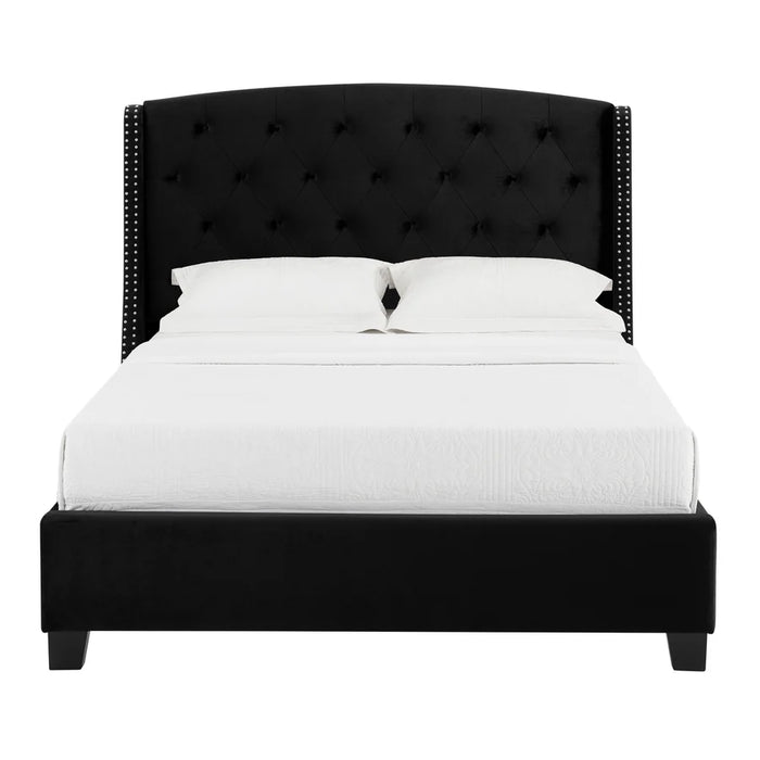 Eva Dove Black Queen Upholstered Bed