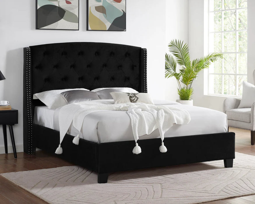 Eva Dove Black Queen Upholstered Bed